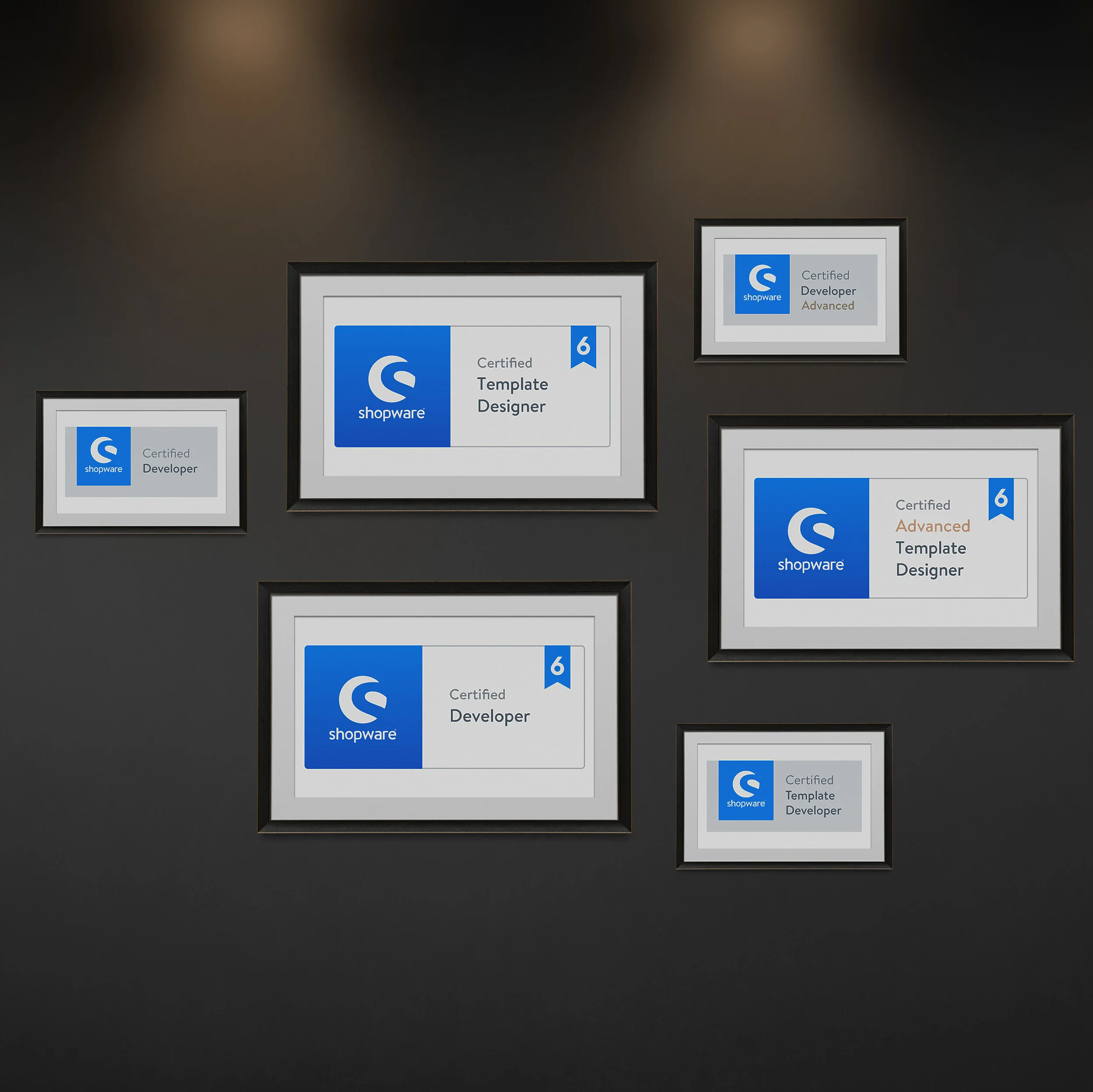 Vielfach Shopware Zertifiziert