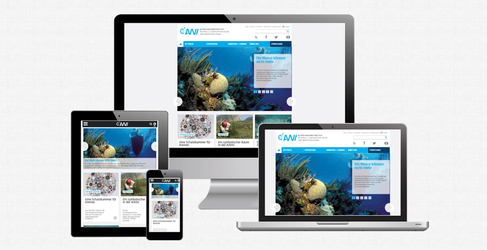 Abbildung Responsive Viewports sitegeist Referenz Alfred Wegener Institut